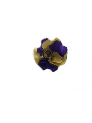 Purple & Gold
