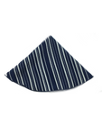 Navy & White Stripe