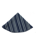 Navy & White Stripe