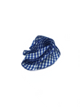 Royal Blue & White Check